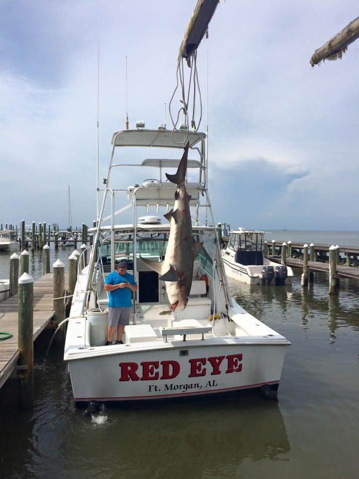 The Red Eye Fishing Charter Boat